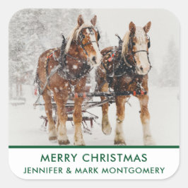 Belgiska Horse Team Wintery-julscenen Fyrkantigt Klistermärke