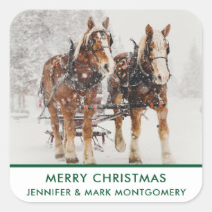 Belgiska Horse Team Wintery-julscenen Fyrkantigt Klistermärke