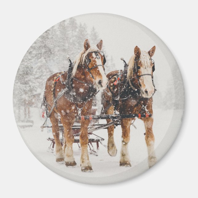 Belgiska Horse Team Wintery-julscenen Magnet (Framsidan)