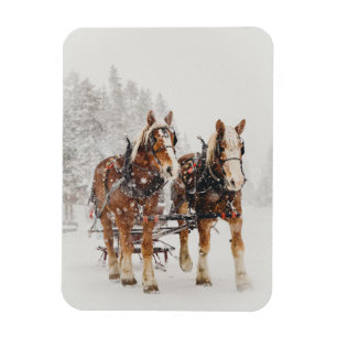 Belgiska Horse Team Wintery-julscenen Magnet