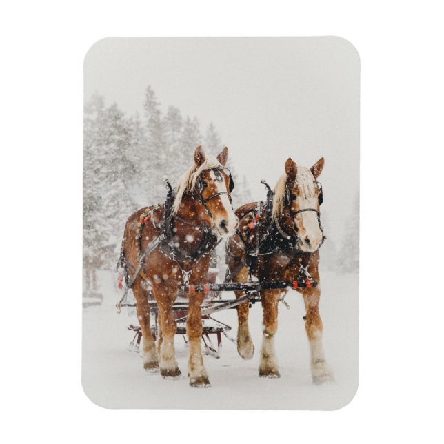 Belgiska Horse Team Wintery-julscenen Magnet (Vertikal)