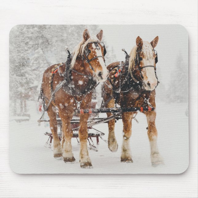 Belgiska Horse Team Wintery-julscenen Musmatta (Framsidan)