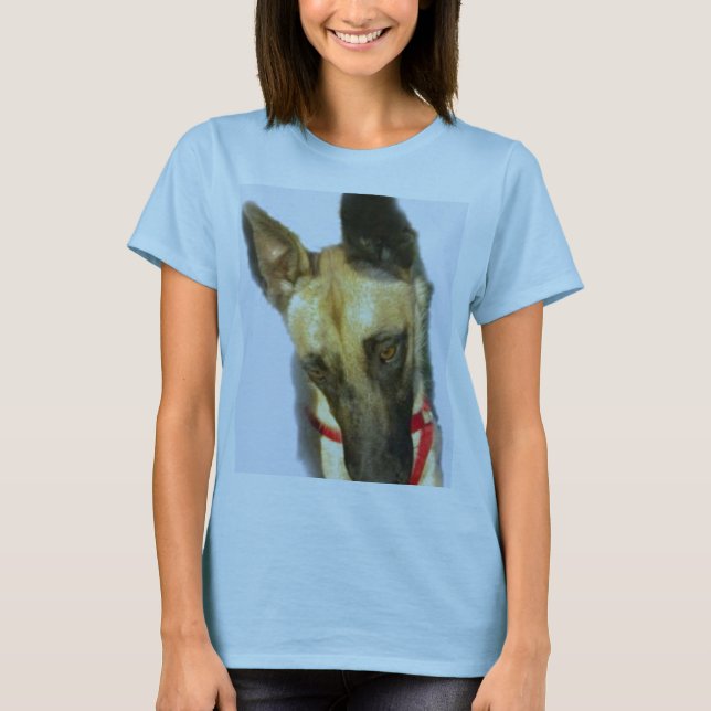 Belgiska malanois tee shirt (Framsida)