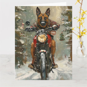 Belgiska Malinoi Dog Riding Motorcle jul Kort