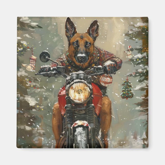 Belgiska Malinoi Dog Riding Motorcle jul Magnet (Framsidan)