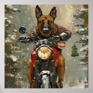 Belgiska Malinoi Dog Riding Motorcle jul Poster
