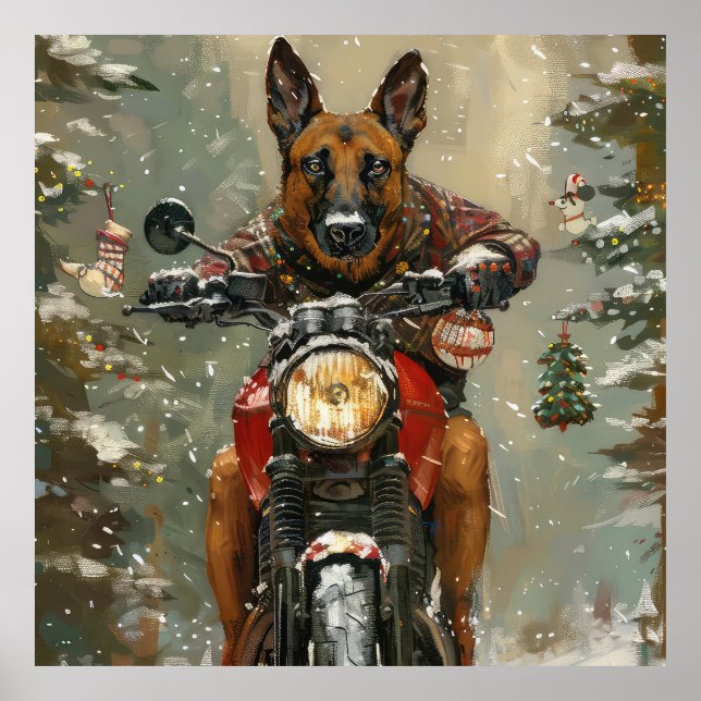 Belgiska Malinoi Dog Riding Motorcle jul Poster (Framsidan)