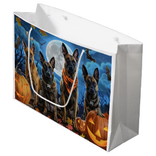 Belgiska Malinoi Halloween Spooky