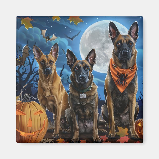 Belgiska Malinoi Halloween Spooky Magnet (Framsidan)