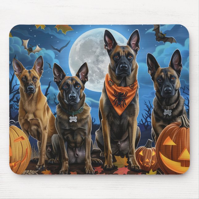 Belgiska Malinoi Halloween Spooky Musmatta (Framsidan)
