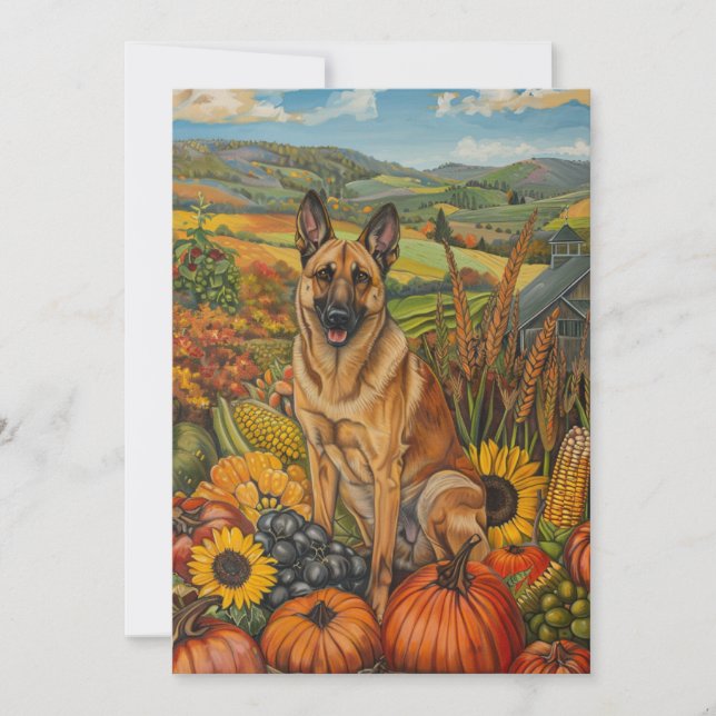 Belgiska Malinoi Hund Autumn Harvest Thanksgiving Julkort (Framsida)