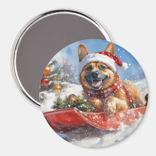 Belgiska Malinoi i Sledge Låt det snöa jul Magnet (Front/Back)