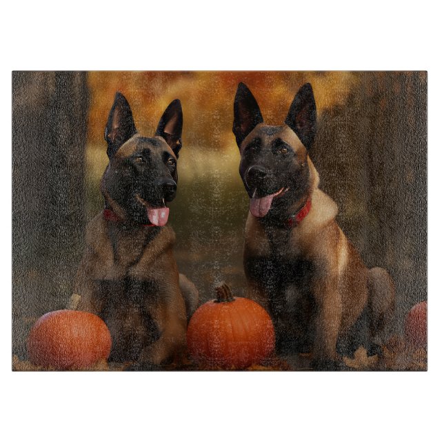 Belgiska Malinoi Puppy Autumn Delight Pumpkin (Framsidan)