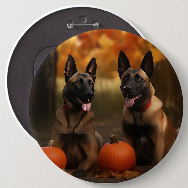 Belgiska Malinoi Puppy Autumn Delight Pumpkin Knapp (Framsida & baksida)