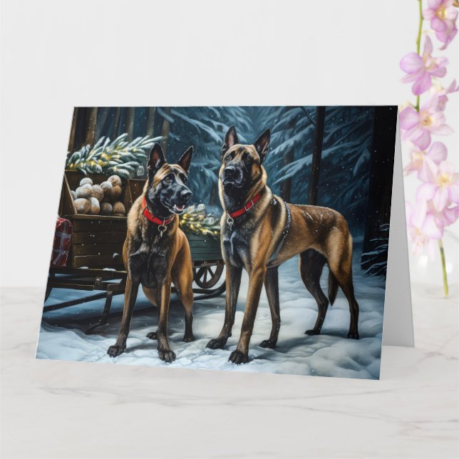 Belgiska Malinoi Snowy Sleigh-juldekretet Kort (Orkide)
