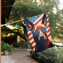 Belgiska Malinois 4:e juli Independence day