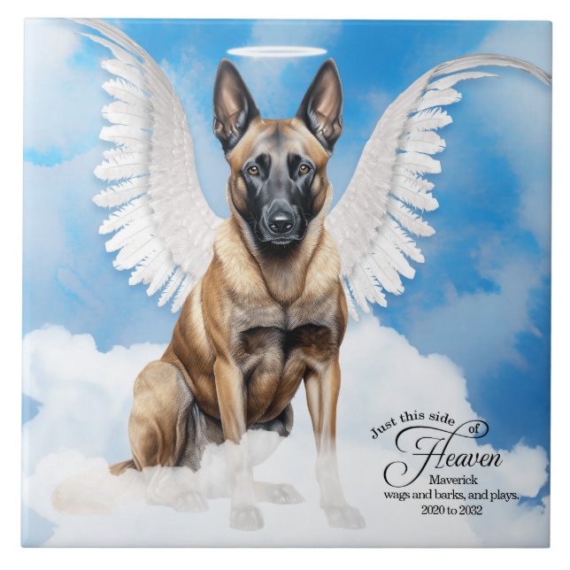 Belgiska Malinois Angel Personlig Pet Memorial Kakelplatta (Framsidan)