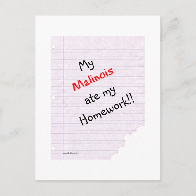 Belgiska Malinois Ate Min hemläxa Vykort (Framsida)