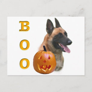 Belgiska Malinois Boo Vykort