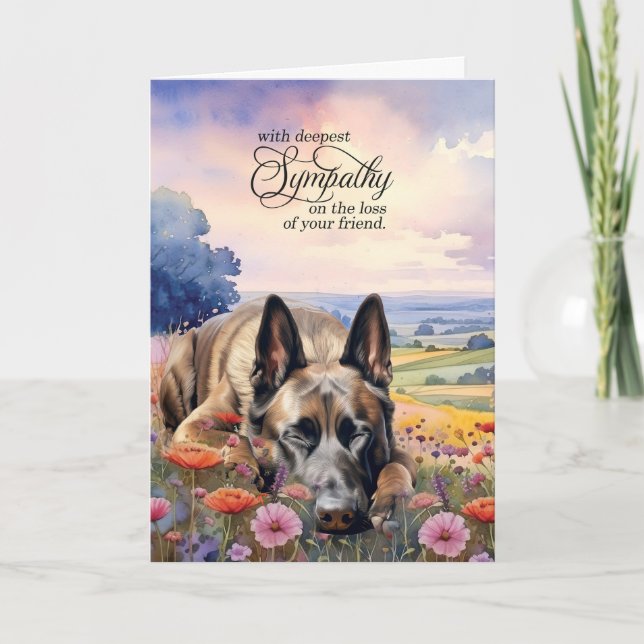 Belgiska Malinois Fält av Wildblommor Pet Sympathy Kort (Framsida)