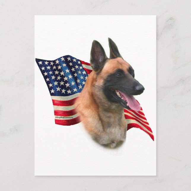 Belgiska Malinois Flagga Vykort (Framsida)