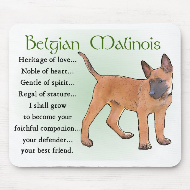 Belgiska Malinois-gåvor Musmatta (Framsidan)
