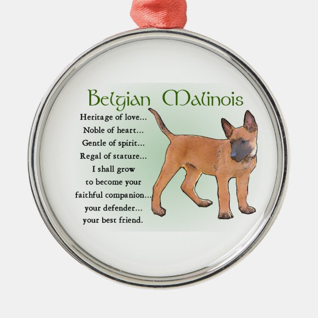 Belgiska Malinois Heritage of Kärlek Julgransprydnad Metall (Framsidan)