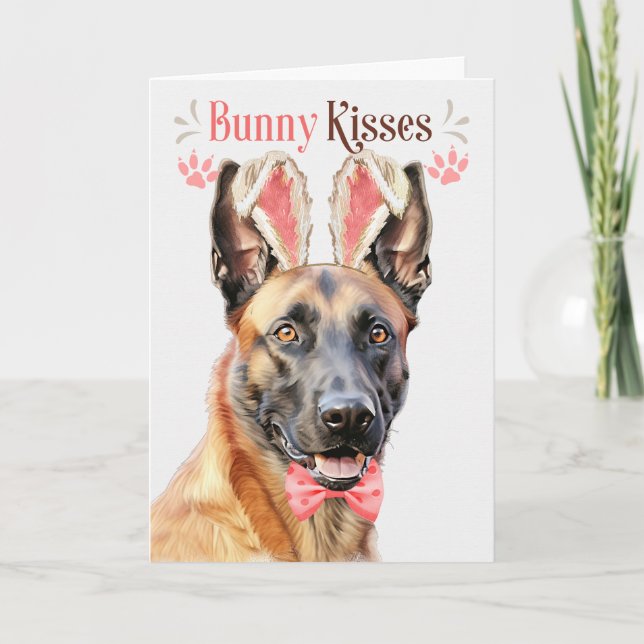 Belgiska Malinois Hund i Bunny Öron för Påsk Helgkort (Framsida)