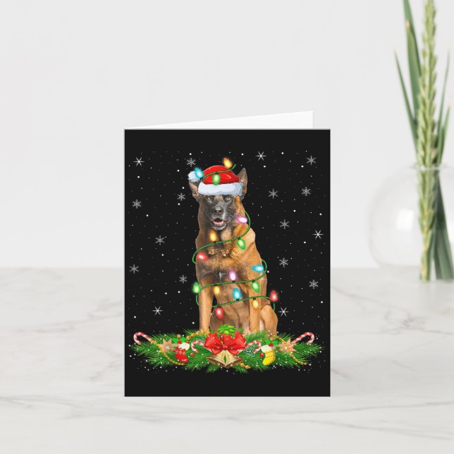Belgiska Malinois Hund jul Ljus Funny Santa Kort (Framsida)