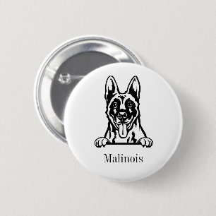 Belgiska Malinois hund Knapp
