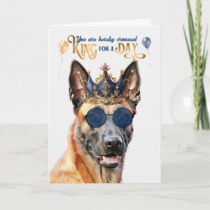 Belgiska Malinois Hund Kung för Day Funny Birthday Kort
