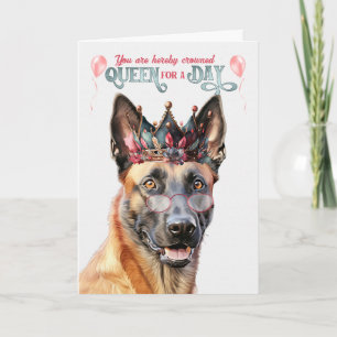 Belgiska Malinois Hund Queen for Day Funny Birthda Kort