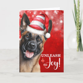 Belgiska Malinois Hund Släpp loss jultomten Helgkort