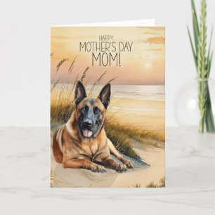 Belgiska Malinois Hund Sunset Beach Mors dag Helgkort