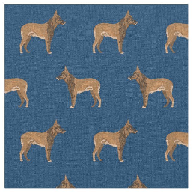 Belgiska Malinois hund Tyg (Närbild)