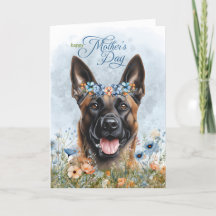Belgiska Malinois Hund Wildblomma Mors dag
