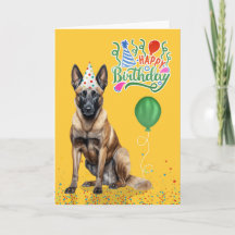Belgiska Malinois i Party Hat på Gulten Birthday