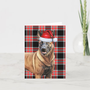 Belgiska malinois jul - Hund Red Play jul Helgkort