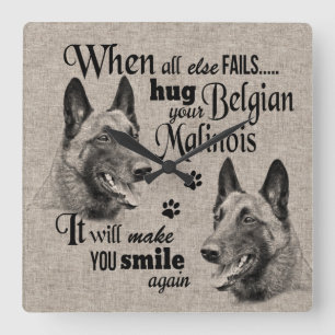Belgiska Malinois-konst när allt misslyckas citat Fyrkantig Klocka
