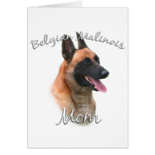 Belgiska Malinois Mamma 2 Hälsningskort
