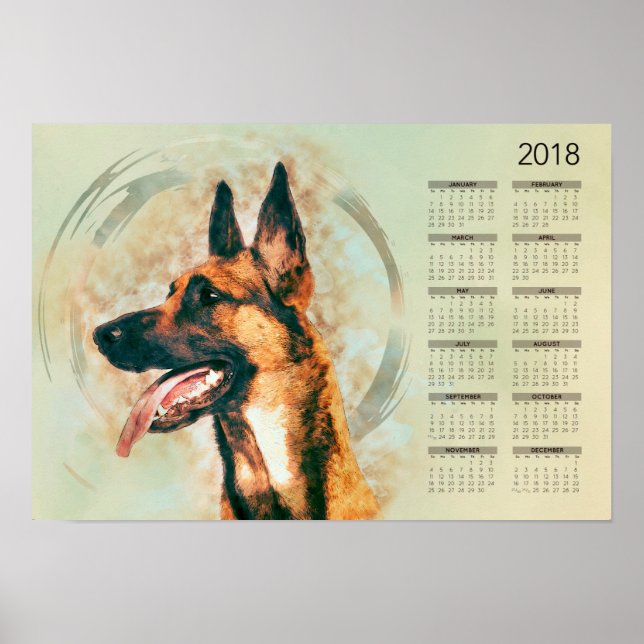 Belgiska Malinois - Mechelaar - Kalender 2018 Poster (Framsidan)