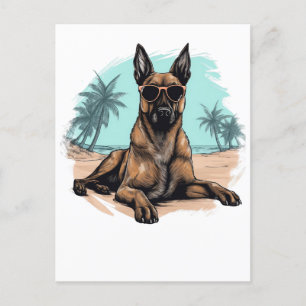 Belgiska malinois med solglasögon på stranden vykort
