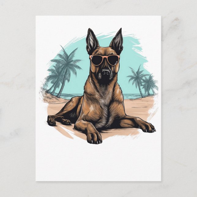 Belgiska malinois med solglasögon på stranden vykort (Framsida)