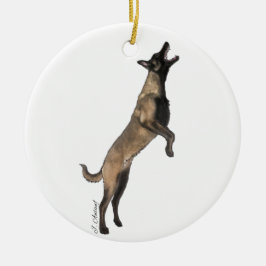 Belgiska Malinois Ornament