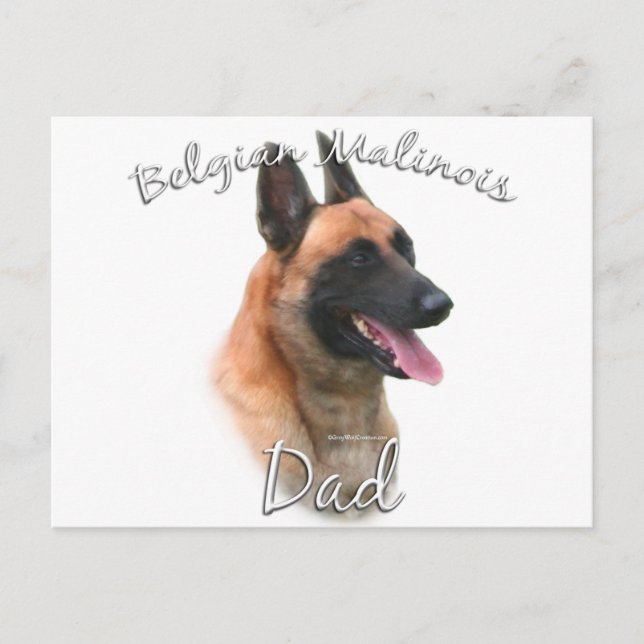 Belgiska Malinois Pappa 2 Vykort (Framsida)