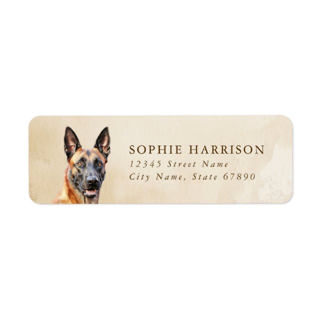 Belgiska malinois-Returetiketter Returadress Etikett (Framsidan)