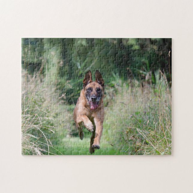 Belgiska Malinois Running Pussel (Horisontell)