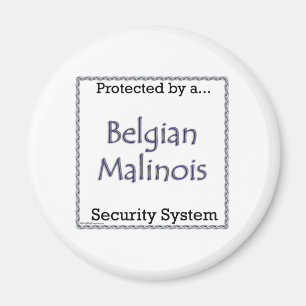 Belgiska Malinois Security System - Magnet