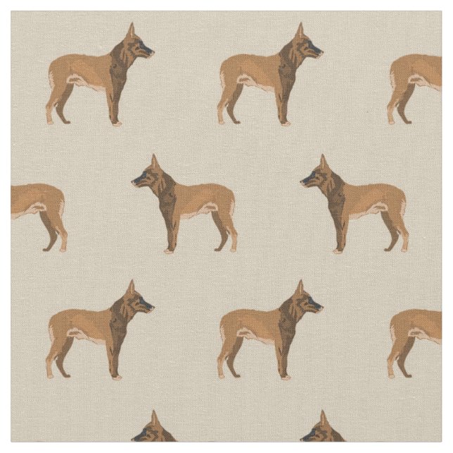 Belgiska Malinois tan Tyg (Närbild)