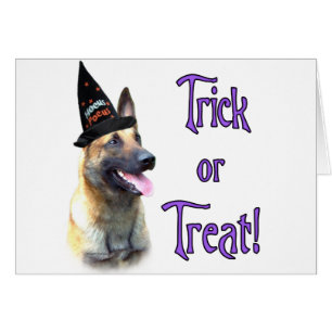 Belgiska Malinois Trick Hälsningskort